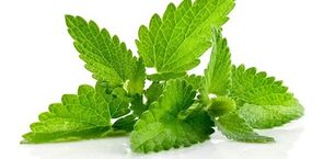 the use of peppermint to increase potency