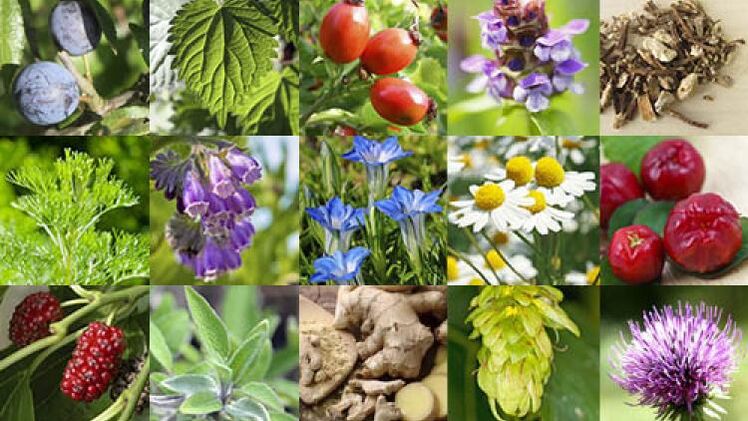 types of herbs to increase potency