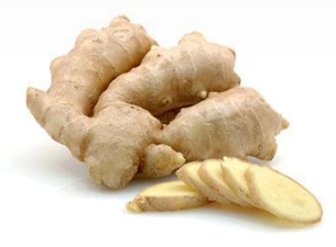 The root of ginger